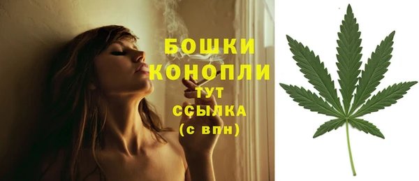 мет Новозыбков