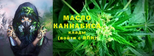 мет Новозыбков