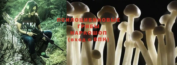метадон Нягань