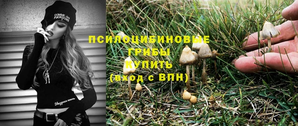 мет Новозыбков