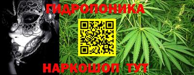 СК Балашиха