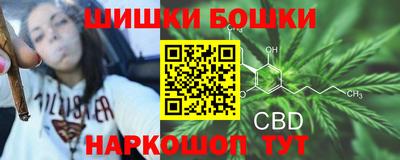 крисы Балахна