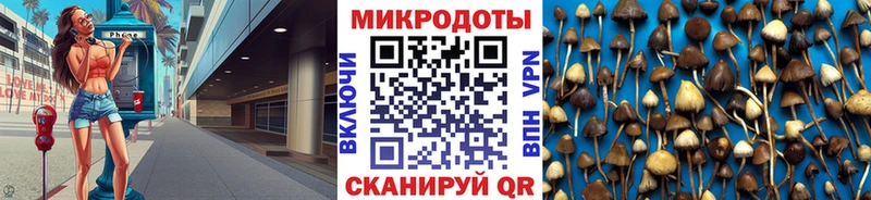 Псилоцибиновые грибы прущие грибы  хочу   Заволжье 