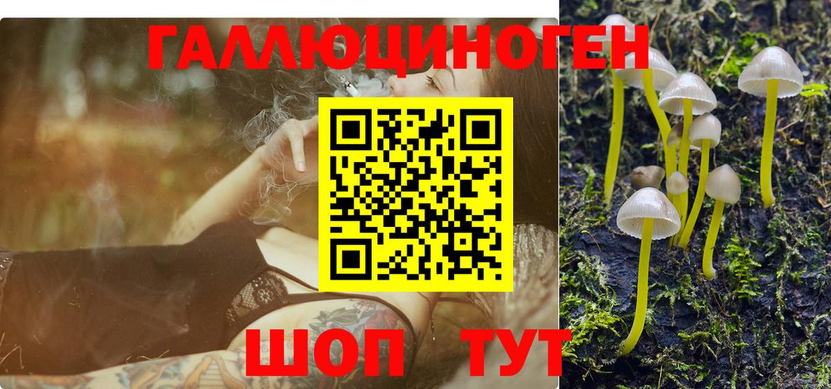 Псилоцибиновые грибы мухоморы Заволжье