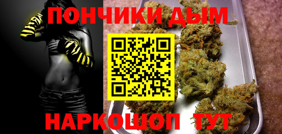 Конопля Bruce Banner  Канабис семена  Бошки марихуана планчик  МАРИХУАНА ГИДРОПОН  Вход с VPN  Заволжье 